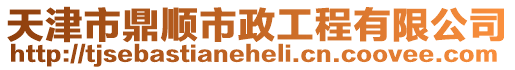 天津市鼎順市政工程有限公司