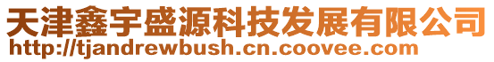 天津鑫宇盛源科技發展有限公司