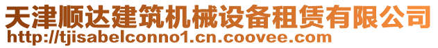 天津順達(dá)建筑機(jī)械設(shè)備租賃有限公司