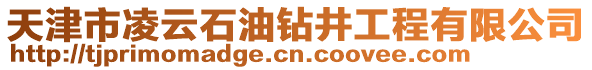 天津市凌云石油鉆井工程有限公司