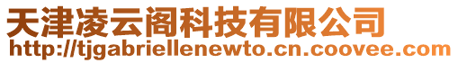 天津凌云閣科技有限公司