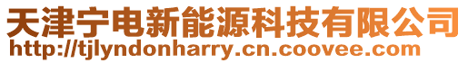 天津寧電新能源科技有限公司