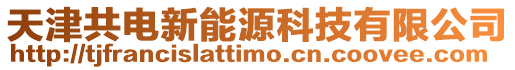 天津共電新能源科技有限公司