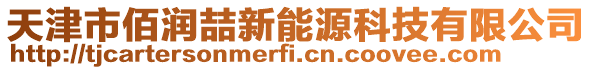 天津市佰潤喆新能源科技有限公司