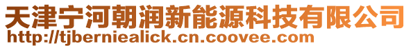 天津寧河朝潤新能源科技有限公司