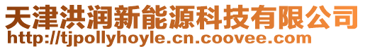 天津洪潤新能源科技有限公司