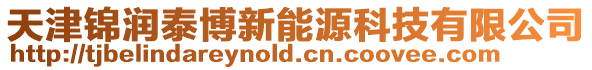 天津錦潤泰博新能源科技有限公司