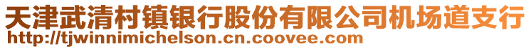 天津武清村鎮(zhèn)銀行股份有限公司機(jī)場(chǎng)道支行