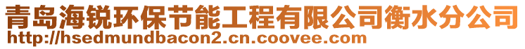 青島海銳環(huán)保節(jié)能工程有限公司衡水分公司