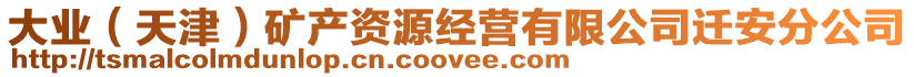 大業(yè)(天津)礦產(chǎn)資源經(jīng)營有限公司遷安分公司