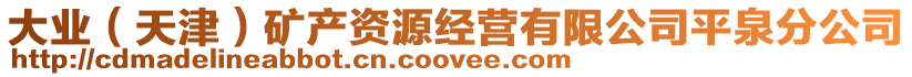 大業(天津)礦產資源經營有限公司平泉分公司
