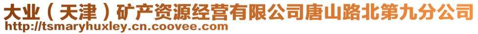 大業(yè)（天津）礦產(chǎn)資源經(jīng)營有限公司唐山路北第九分公司