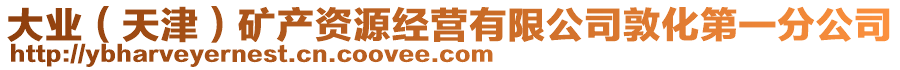 大業(yè)（天津）礦產(chǎn)資源經(jīng)營(yíng)有限公司敦化第一分公司