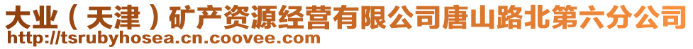 大業(yè)(天津)礦產(chǎn)資源經(jīng)營有限公司唐山路北第六分公司