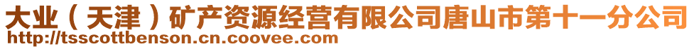 大業(yè)（天津）礦產(chǎn)資源經(jīng)營有限公司唐山市第十一分公司