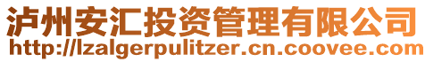 瀘州安匯投資管理有限公司