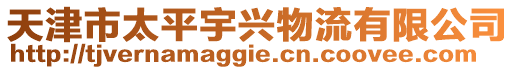 天津市太平宇興物流有限公司