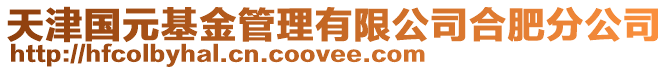 天津國(guó)元基金管理有限公司合肥分公司