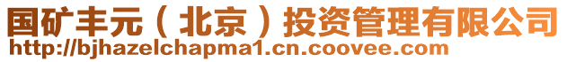 國礦豐元（北京）投資管理有限公司