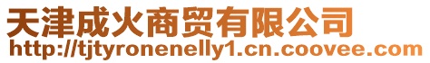 天津成火商貿有限公司
