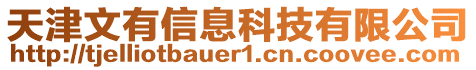 天津文有信息科技有限公司