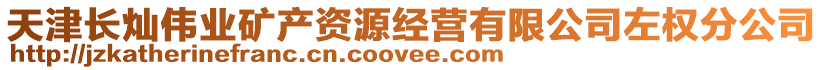 天津長燦偉業(yè)礦產(chǎn)資源經(jīng)營有限公司左權(quán)分公司