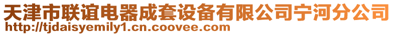 天津市聯(lián)誼電器成套設(shè)備有限公司寧河分公司