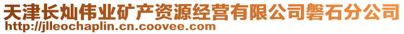 天津長(zhǎng)燦偉業(yè)礦產(chǎn)資源經(jīng)營(yíng)有限公司磐石分公司