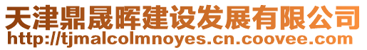 天津鼎晟暉建設發展有限公司