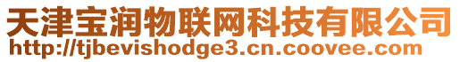 天津?qū)殱櫸锫?lián)網(wǎng)科技有限公司