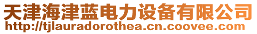 天津海津藍(lán)電力設(shè)備有限公司