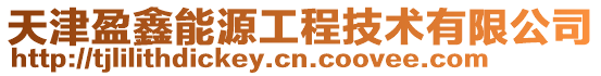 天津盈鑫能源工程技術有限公司