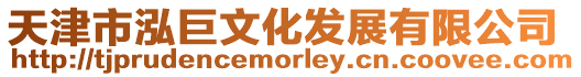 天津市泓巨文化發展有限公司