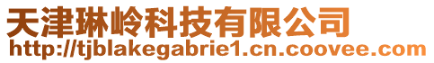 天津琳嶺科技有限公司