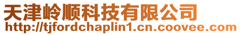 天津嶺順科技有限公司