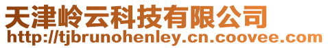 天津嶺云科技有限公司
