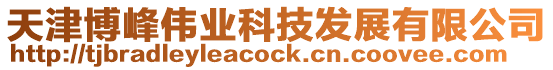 天津博峰偉業(yè)科技發(fā)展有限公司