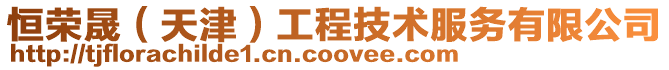 恒榮晟(天津)工程技術服務有限公司