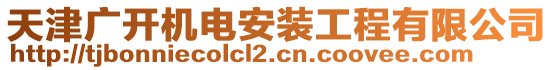 天津廣開機(jī)電安裝工程有限公司