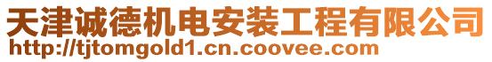 天津誠德機(jī)電安裝工程有限公司