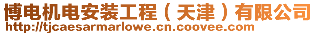 博電機電安裝工程(天津)有限公司