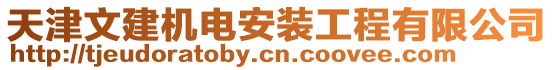 天津文建機(jī)電安裝工程有限公司