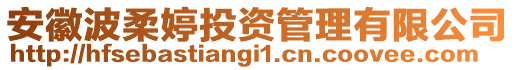 安徽波柔婷投資管理有限公司