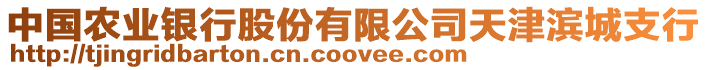 中國(guó)農(nóng)業(yè)銀行股份有限公司天津?yàn)I城支行