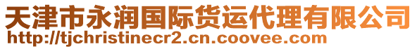 天津市永潤國際貨運(yùn)代理有限公司