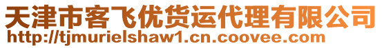 天津市客飛優(yōu)貨運(yùn)代理有限公司