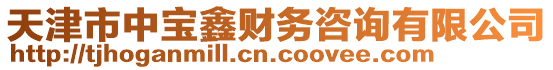 天津市中寶鑫財務咨詢有限公司