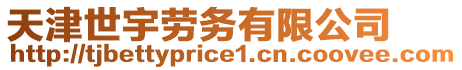 天津世宇勞務(wù)有限公司