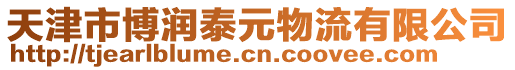 天津市博潤泰元物流有限公司