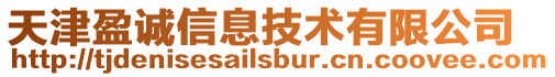 天津盈誠信息技術有限公司